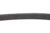 Ремінь генератора Audi A4/A5/A6 2.0 TDI 18- (6PK1120) CONTINENTAL 6PK1120 EXTRA (фото 3)