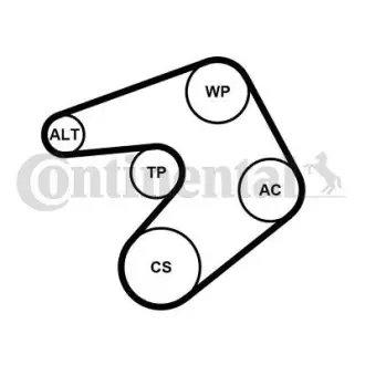Комплект поліклинових ременів (Contitech) CONTINENTAL 6PK1205WP1