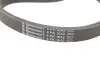 Комплект ременя генератора MB C-class (W205) 2.2D (OM651) 14-18 CONTINENTAL 6PK1642K3 (фото 4)