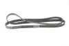 Ремень генератора Chevrolet Lacetti/Nubira 2.0D 05-/Honda Civic IX 1.6/1.8 i-VTEC 11-16 CONTINENTAL 6PK2094 (фото 5)