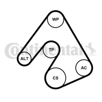 Комплект поліклинових ременів (Contitech) CONTINENTAL 6PK2490WP1
