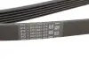 Ремінь генератора VW Amarok/Kia Sorento/Fiat Freemont 2.0/2.4/2.4 CVVT/3.0TDI 09- CONTINENTAL 6PK2575 (фото 5)