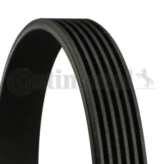 Доріжковий пас CONTINENTAL 6PK794ELAST