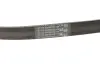 Ремінь генератора VW Crafter/T6 2.0 TDI 15- (6PK860) CONTINENTAL 6PK860 ELAST (фото 4)