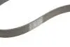 Ремінь генератора BMW 3 (F30/F80)/5 (F10)/ X5 (F15/F85)/ X6 (F16/F86) 13- (S55) CONTINENTAL 8PK1395 (фото 5)