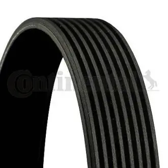 Доріжковий пас CONTINENTAL 8PK2642