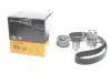 Комплект ГРМ + помпа Audi A3/VW Caddy III/VW T5 1.4-2.0 TDI 03- (30x120z) CONTINENTAL CT1028WP3 (фото 2)