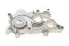 Комплект газорозподільчого механізму CONTINENTAL CT1167WP3PRO (фото 12)