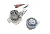 Комплект ГРМ + помпа VW T6 2.0TDI 15-/Golf VII/Skoda Octavia III 1.6TDI/2.0TDI 12- (25x145z) CONTINENTAL CT1168WP3 (фото 8)