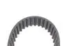 Комплект ГРМ + помпа Audi A3/A4/A5/A6/Q3/VW Caddy/T6 2.0TDI 15-/Golf VII 1.6TDI/2.0TDI 12- (25x145z) CONTINENTAL CT1168WP9 (фото 4)