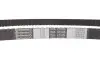 Комплект ГРМ + помпа Ford Mondeo 1.6Ti-VCT 07-14/Focus 1.4/1.6i 04-12/Fusion 1.2-1.6 02-12 (22x117z) CONTINENTAL CT881WP2 (фото 4)
