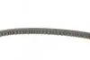 Ремень генератора VW Caddy/Golf/Passat 1.6-2.0 91-99/Seat Ibiza/Toledo 1.6/2.0 93-02 CONTINENTAL 11,5X685Ld (фото 2)