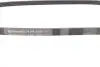 Пас поліклиновий ГУР Mazda 323 89-04/ Mitsubishi Pajer CONTINENTAL 4PK1000 (фото 2)
