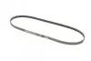 Ремінь генератора Haval H5 2.4 10-/Toyota Land Cruiser Prado 2.7 95-02/Hiace 98-06/Fiat/Lancia/Nissa CONTINENTAL 4PK1100 (фото 4)
