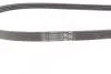 Ремень генератора Citroen Jumper/Fiat Ducato/Peugeot Boxer 3.0HDi/D 06- CONTINENTAL 4PK1102 ELAST (фото 3)