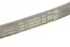 Ремінь поліклиновий CONTINENTAL 4PK753ELAST (фото 3)