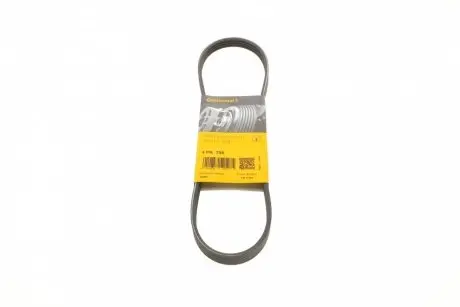 Пас поліклиновий Honda civic/CRX 1.4-1.6 16V 91-01 CONTINENTAL 4PK795