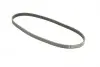 Пас поліклиновий Honda civic/CRX 1.4-1.6 16V 91-01 CONTINENTAL 4PK795 (фото 5)