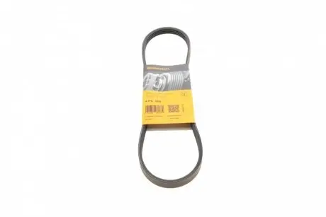 Ремень генератора Honda Civic VI/Nissan Primera/Citroen Berlingo 1.4-1.6 16V 94-05 CONTINENTAL 4PK800