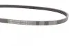 Ремінь генератора Nissan Primera 93-01/Peugeot 205/309 85-98/Hyundai Accent 1.1-1.6 95-10 CONTINENTAL 4PK815 (фото 2)