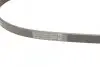 Ремінь генератора Hyundai Accent 1.3-1.6 94-11/ Toyota Carina/ Corolla 1.6-2.0 93-01 CONTINENTAL 4PK850 (фото 3)