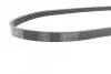 Ремінь генератора Mazda 323 1.3-1.8 89-04/BMW 3 (E46)/7 (E65/E66/E67) 3.0d 02-05/Kia Rio 1.5 00-05 CONTINENTAL 4PK885 (фото 2)
