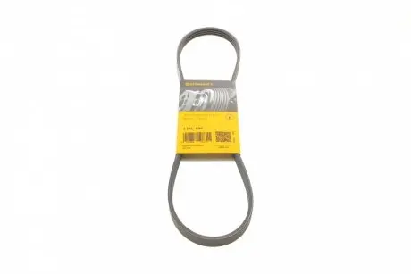 Ремень генератора Honda CR-V 2.0 16V 4WD 95-02/Subaru Forester/Impreza/Legacy 1.5-2.5 92-09 CONTINENTAL 4PK895