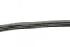 Ремінь генератора Renault Kangoo/Clio 1.2i 97-/Fiat Scudo 1.6i 96-06/Nissan Kubistar 1.2 03- CONTINENTAL 4PK905 (фото 2)