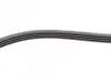 Ремінь генератора Fiat Fiorino 1.4/1.6i 93-01/Mitsubishi Galant 1.8/2.0 87-03/Toyota Hilux 2.4 97-05 CONTINENTAL 4PK938 (фото 4)