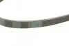 Ремень генератора BMW 3 (E46)/5 (G30/F90)/7 (G11/G12)/X3 (G01/F97)/X5 (G05)/Kia Rio 00-05 CONTINENTAL 4PK970 (фото 4)