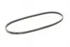 Ремень генератора BMW 3 (E46)/5 (G30/F90)/7 (G11/G12)/X3 (G01/F97)/X5 (G05)/Kia Rio 00-05 CONTINENTAL 4PK970 (фото 5)