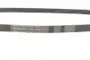 Ремінь генератора BMW X5 (E53) 4.4i/4.6is/Opel Astra 2.2 16V 00-03/Mazda 626 1.8 94-97/MX-5 2.0 15- CONTINENTAL 5PK1025 (фото 2)
