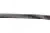 Ремінь генератора BMW X5 (E53) 4.4i/4.6is/Opel Astra 2.2 16V 00-03/Mazda 626 1.8 94-97/MX-5 2.0 15- CONTINENTAL 5PK1025 (фото 3)