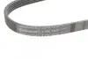 Ремінь генератора Mazda 323/626 1.8-2.0 97-02/Opel Astra G/Vectra B/C 2.0/2.2 00-08 CONTINENTAL 5PK1030 (фото 4)