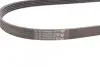 Пас поліклиновий Mitsubishi Galant/Lancer 95-04/To CONTINENTAL 5PK1070 (фото 3)