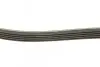 Ремінь генератора Volvo S40/S60/S80/V40/V60/V70/XC60/XC70 00- (5PK1121) CONTINENTAL 5PK1121 EXTRA (фото 2)