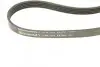 Ремінь генератора Volvo S40/S60/S80/V40/V60/V70/XC60/XC70 00- (5PK1121) CONTINENTAL 5PK1121 EXTRA (фото 3)