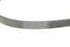 Ремінь генератора Renault Trafic/Master/Laguna/Opel Movano/Vivaro 1.9dCi 01-/BMW 3 (E36) 3.0 92-98 CONTINENTAL 5PK1125 (фото 3)