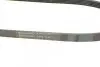 Ремінь генератора Renault Kangoo/Megane/Laguna 1.4/1.5 dCi/1.6 03-/Audi A6 4.2FSI 06-11 CONTINENTAL 5PK1135 (фото 3)