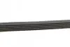 Комплект ременя генератора Renault Clio/Megane/Scenic/Nissan Almera/Micra/Kubistar 1.5 dCi 03- CONTINENTAL 5PK1135K2 (фото 2)