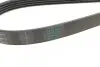 Комплект ременя генератора Renault Clio/Megane/Scenic/Nissan Almera/Micra/Kubistar 1.5 dCi 03- CONTINENTAL 5PK1135K2 (фото 3)