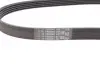 Ремень генератора Opel Movano/Renault Master 2.5D/2.8DTI 98-01/Megane/Laguna/Scenic 1.4-1.6 03-08 CONTINENTAL 5PK1200 (фото 3)