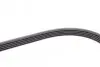 Ремень генератора Opel Movano/Renault Master 2.5D/2.8DTI 98-01/Megane/Laguna/Scenic 1.4-1.6 03-08 CONTINENTAL 5PK1200 (фото 4)