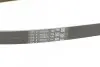 Ремінь генератора Opel Combo/Astra G 1.4-1.8 98-10/Kia Ceed/Rio 1.2/1.4 14-/Hyundai i20/i30 1.4 14- CONTINENTAL 5PK1212 (фото 3)