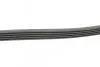 Ремень генератора MB A-class (W168) 97-04 CONTINENTAL 5PK1290 (фото 2)