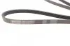 Ремінь генератора Opel Zafira/Astra 1.6/1.8 05-15/Fiat 1.6/1.8 05-/Chevrolet Orlando 1.8 11- CONTINENTAL 5PK1546 (фото 2)
