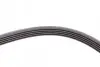 Ремінь генератора Opel Zafira/Astra 1.6/1.8 05-15/Fiat 1.6/1.8 05-/Chevrolet Orlando 1.8 11- CONTINENTAL 5PK1546 (фото 3)