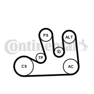 Комплект поликлинового ремня (с роликами) RENAULT ESPACE III, LAGUNA I, MEGANE I, MEGANE I CLASSIC, MEGANE I COACH, SCENIC I 1.8/2.0 04.98-08.03 CONTINENTAL 5PK1750WP1