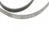 Ремінь генератора Hyundai Accent/Getz/i30/Kia Rio/Cerato 1.5CRDi 05- CONTINENTAL 5PK1800 (фото 4)