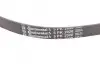 Ремень генератора Opel Omega B 2.5DTI 01-03/Land Rover Range Rover 3.0D 02-12 CONTINENTAL 5PK2020 (фото 3)